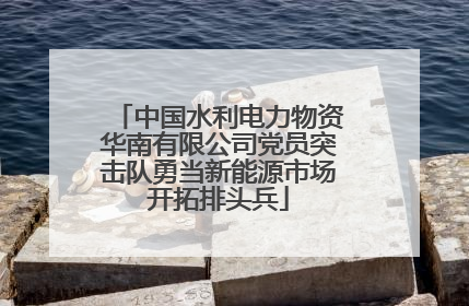 中国水利电力物资华南有限公司党员突击队勇当新能源市场开拓排头兵