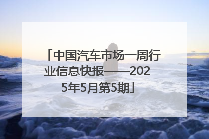 中国汽车市场一周行业信息快报——2025年5月第5期