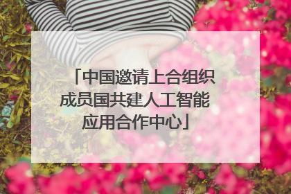 中国邀请上合组织成员国共建人工智能应用合作中心