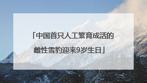 中国首只人工繁育成活的雌性雪豹迎来9岁生日