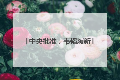 中央批准，韦韬履新