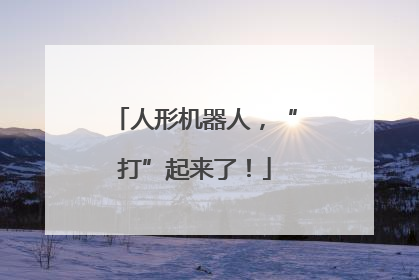 人形机器人，“打”起来了！