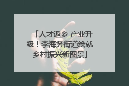 人才返乡 产业升级！李海务街道绘就乡村振兴新图景