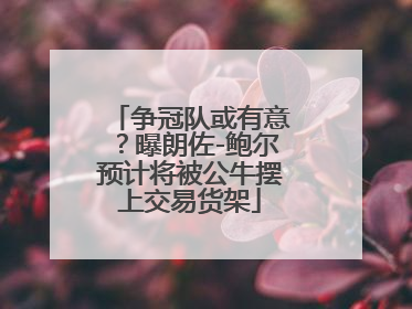 争冠队或有意？曝朗佐-鲍尔预计将被公牛摆上交易货架