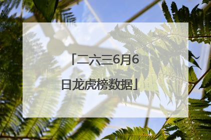 二六三6月6日龙虎榜数据