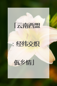 云南西盟：经纬交织佤乡情