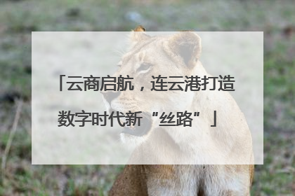 云商启航，连云港打造数字时代新“丝路”