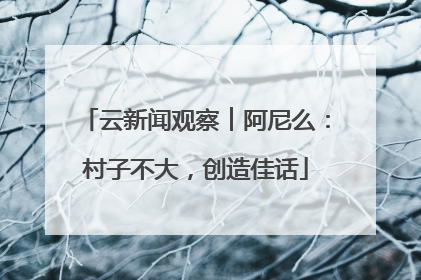 云新闻观察︱阿尼么：村子不大，创造佳话