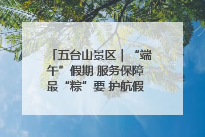 五台山景区｜“端午”假期 服务保障最“粽”要 护航假期“不打烊”