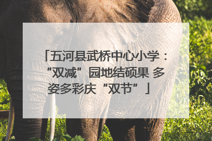 五河县武桥中心小学：“双减”园地结硕果 多姿多彩庆“双节”