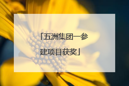 五洲集团一参建项目获奖