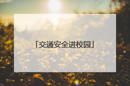 交通安全进校园