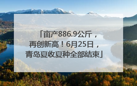 亩产886.9公斤，再创新高！6月25日，青岛夏收夏种全部结束