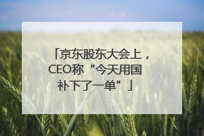 京东股东大会上，CEO称“今天用国补下了一单”