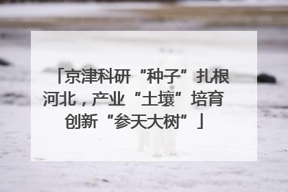 京津科研“种子”扎根河北，产业“土壤”培育创新“参天大树”