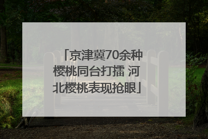 京津冀70余种樱桃同台打擂 河北樱桃表现抢眼