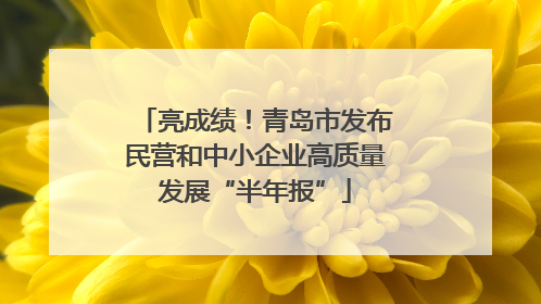 亮成绩！青岛市发布民营和中小企业高质量发展“半年报”