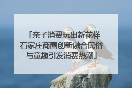 亲子消费玩出新花样 石家庄商圈创新融合民俗与童趣引发消费热潮