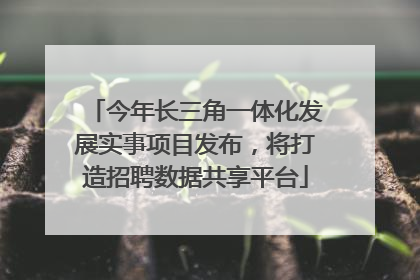 今年长三角一体化发展实事项目发布，将打造招聘数据共享平台