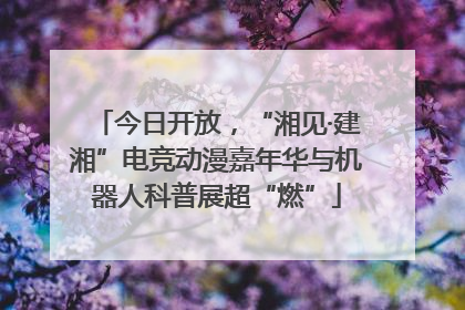 今日开放，“湘见·建湘”电竞动漫嘉年华与机器人科普展超“燃”