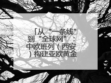 从“一条线”到“全球网”：中欧班列（西安）构建亚欧黄金物流大通道