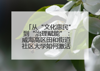 从“文化惠民”到“治理赋能”：威海高区田和街道社区大学如何激活基层服务新动能