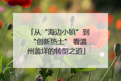 从“海边小镇”到“创新热土” 看温州翁垟的转型之道