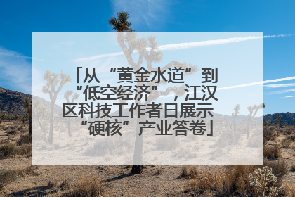 从“黄金水道”到“低空经济”，江汉区科技工作者日展示“硬核”产业答卷