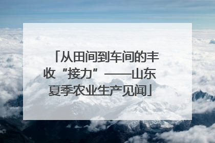 从田间到车间的丰收“接力”——山东夏季农业生产见闻