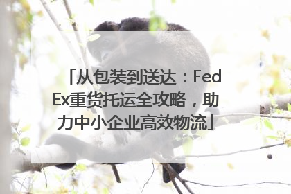 从包装到送达：FedEx重货托运全攻略，助力中小企业高效物流