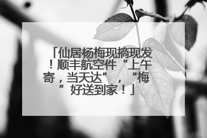 仙居杨梅现摘现发！顺丰航空件“上午寄，当天达”，“梅”好送到家！