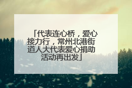 代表连心桥，爱心接力行，常州北港街道人大代表爱心捐助活动再出发