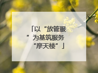 以“放管服”为基筑服务“摩天楼”