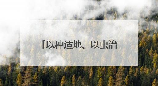 以种适地、以虫治虫……科技赋能“三夏” “智慧种地”绘就好“丰”景