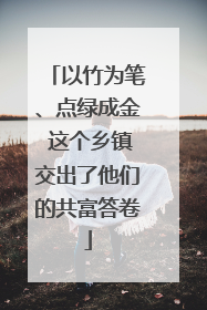 以竹为笔、点绿成金 这个乡镇交出了他们的共富答卷
