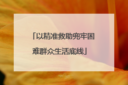 以精准救助兜牢困难群众生活底线