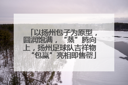 以扬州包子为原型，圆润饱满，“蒸”腾向上，扬州足球队吉祥物“包赢”亮相即售罄