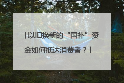 以旧换新的“国补”资金如何抵达消费者？