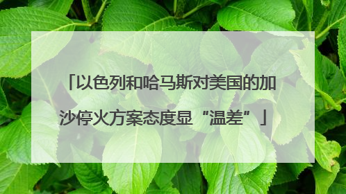 以色列和哈马斯对美国的加沙停火方案态度显“温差”