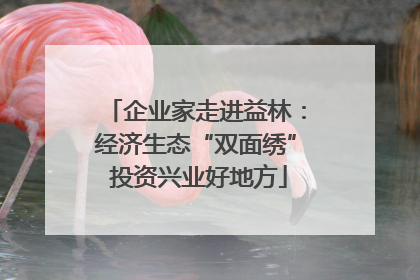 企业家走进益林：经济生态“双面绣” 投资兴业好地方