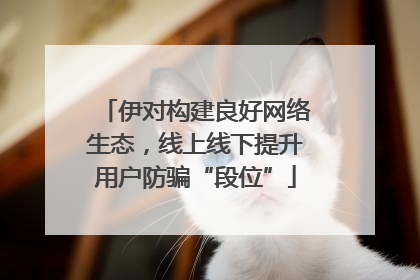 伊对构建良好网络生态，线上线下提升用户防骗“段位”