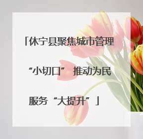 休宁县聚焦城市管理“小切口” 推动为民服务“大提升”