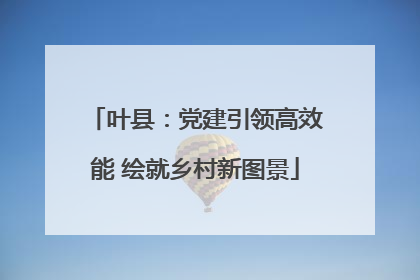 叶县：党建引领高效能 绘就乡村新图景