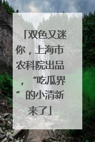 双色又迷你，上海市农科院出品，“吃瓜界”的小清新来了