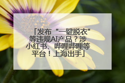 发布“一键脱衣”等违规AI产品？涉小红书、哔哩哔哩等平台！上海出手