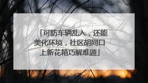 可防车辆乱入，还能美化环境，社区胡同口上新花箱巧解难题