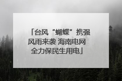 台风“蝴蝶”携强风雨来袭 海南电网全力保民生用电