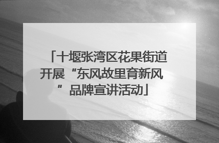 十堰张湾区花果街道开展“东风故里育新风”品牌宣讲活动