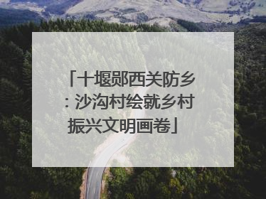 十堰郧西关防乡：沙沟村绘就乡村振兴文明画卷
