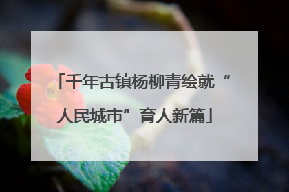 千年古镇杨柳青绘就“人民城市”育人新篇